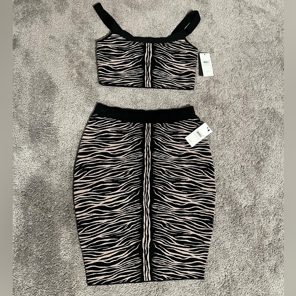 Zebra Print Crop Top and Skirt Set